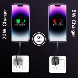 20w Transparent Fast Charger